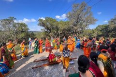 IMG_1428